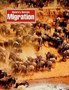 Hardcover Migration (Nature's Secrets) Book
