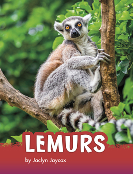 Paperback Lemurs Book