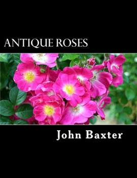 Paperback Antique Roses Book