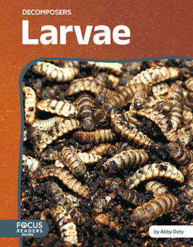 Library Binding Larvae Book