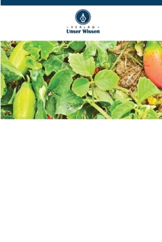 Paperback Staudenkürbis auf einen Blick [German] Book