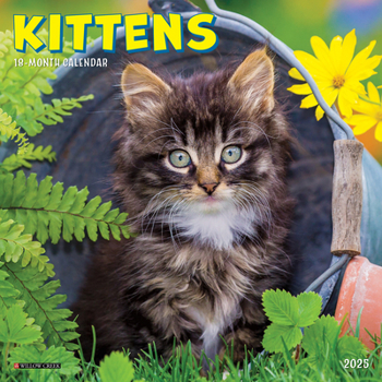 Mini-Disc Kittens 2025 7 X 7 Mini Wall Calendar Book