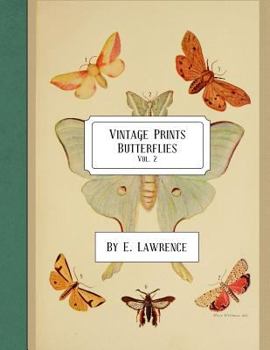 Paperback Vintage Prints: Butterflies: Vol. 2 Book