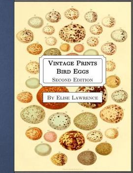 Vintage Prints: Bird Eggs