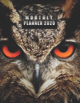 Monthly Planner 2020: NOTEBOOK + CALENDAR NOTEPAD / Diary / Agenda / Logbook: year at glance + 2 - page monthly layout + notes pages, large size (Owl Eyes on a cover)