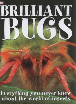 Hardcover Brilliant Bugs. Written by Sally Tagholm Book
