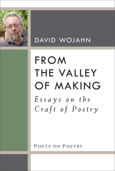 Hardcover From the Valley of Making: Essays on the Craft of Poetry Book