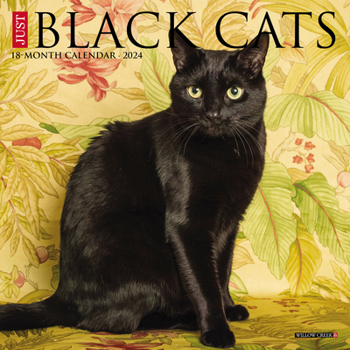 Calendar Just Black Cats 2024 7 X 7 Mini Wall Calendar Book