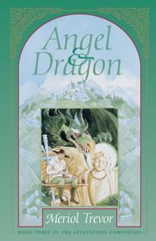 Paperback Angel & Dragon Book