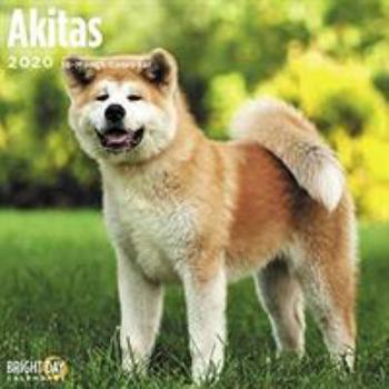 Calendar Akitas Wall Calendar 2020 Book