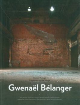Gwenael Belanger: Fragmenting the Image
