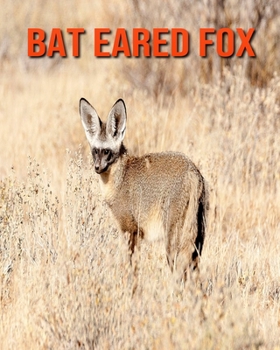 Paperback Bat Eared Fox: Incredible Pictures and Fun Facts about Bat Eared Fox Book