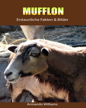Paperback Mufflon: Erstaunliche Fakten & Bilder [German] Book