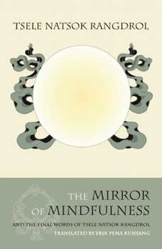 Paperback The Mirror of Mindfulness Book