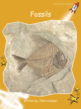 Paperback Fossils Book