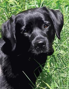 Paperback Black Labrador Puppy Notebook: Dog Wisdom Quotes Book