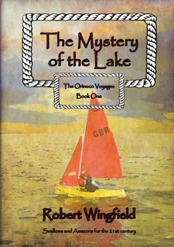 Paperback The Mystery of the Lake Book