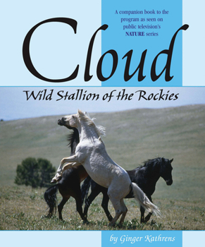 Hardcover Cloud: Wild Stallion of the Rockies, Revised and Updated Book