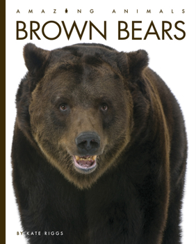 Brown Bears - Book  of the Amazing Animals