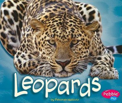 Paperback Leopards (Pebble Plus: African Animals) Book