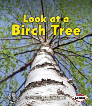 Paperback Look at a Birch Tree Book