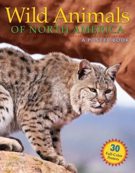 Paperback Wild Animals of North America: A Poster Book