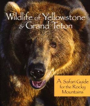 Paperback Rocky Mountain Wildlife of Yellowstone & Grand Teton National Parks Book