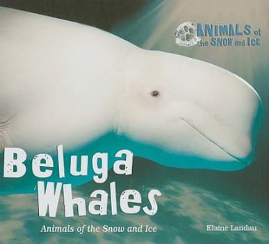 Library Binding Beluga Whales Book