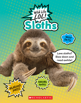 Paperback Sloths Book