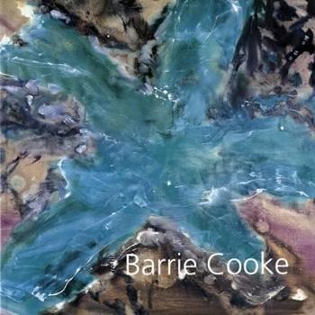 Hardcover Profile Barrie Cook Book