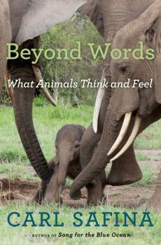 Hardcover Beyond Words: What Animals Think and Feel Book