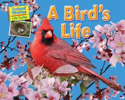 A Bird's Life - Book  of the Animal Diaries: Life Cycles