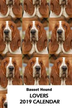 Paperback Basset Hound Lovers 2019 Calendar Book