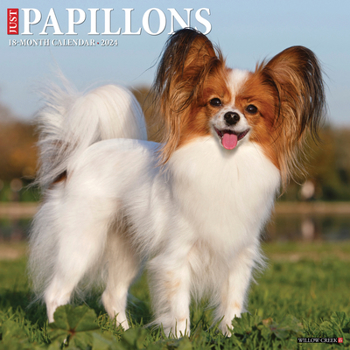 Calendar Just Papillons 2024 12 X 12 Wall Calendar Book