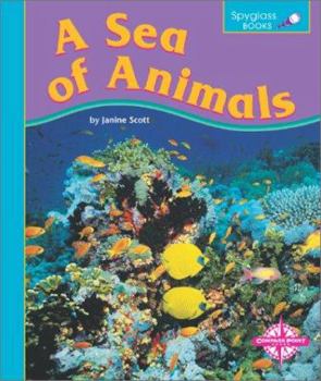 Library Binding A Sea of Animals Book