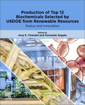 Paperback Production of Top 12 Biochemicals Selected by Usdoe from Renewable Resources: Status and Innovation Book