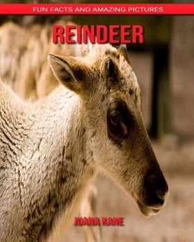 Paperback Reindeer: Fun Facts and Amazing Pictures Book