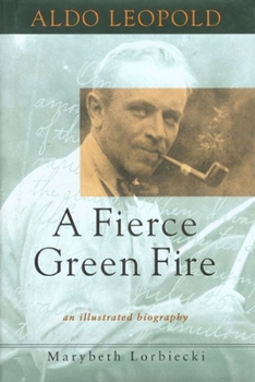 Paperback New England Book