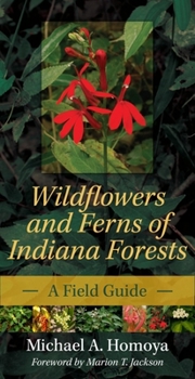 Paperback Wildflowers and Ferns of Indiana Forests: A Field Guide Book
