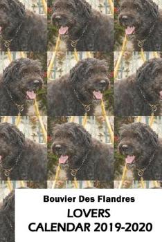 Paperback Bouvier Des Flandres Lovers Calendar 2019-2020 Book