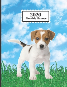 2020 Monthly Planner: Jack Russell Puppy Dog Breed Cute Design Cover 1 Year Planner Appointment Calendar Organizer And Journal For Writing