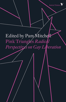 Paperback Pink Triangles: Radical Perspectives on Gay Liberation Book