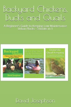 Paperback Backyard Chickens, Ducks and Quails: A Beginner's Guide to Keeping Low-Maintenance Urban Flocks - 3 books in 1 Book