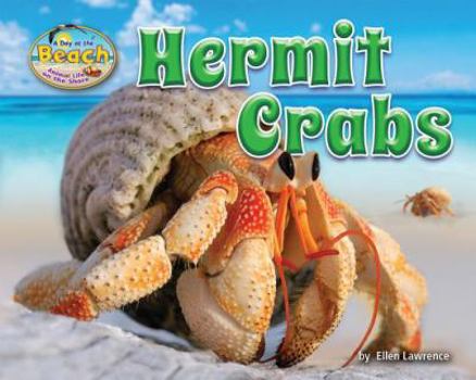 Hermit Crabs - Book  of the A Day at the Beach: Animal Life on the Shore