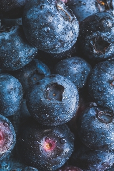 Paperback Recipes for Blueberries Book