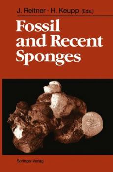 Paperback Fossil and Recent Sponges Book