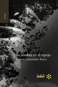 Paperback La sombra en el espejo. Versiones japonesas [Spanish] Book