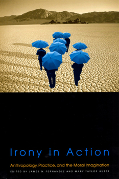 Paperback Irony in Action: Anthropology, Practice, and the Moral Imagination Book