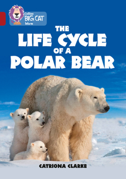 Paperback Collins Big Cat - The Life Cycle of a Polar Bear: Band 14/Ruby Book