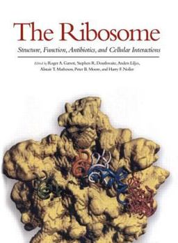 Hardcover The Ribosome: Structure, Function, Antibiotics, and Cellular Interactions Book